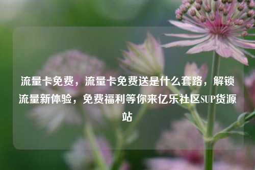 流量卡免费，流量卡免费送是什么套路，解锁流量新体验，免费福利等你来亿乐社区SUP货源站  第1张
