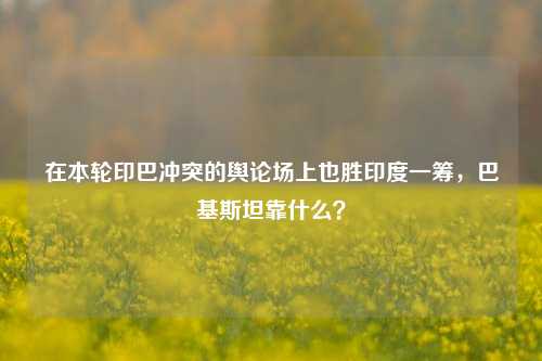 在本轮印巴冲突的舆论场上也胜印度一筹，巴基斯坦靠什么？  第1张