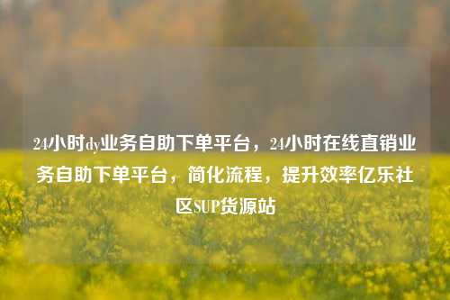 24小时dy业务自助下单平台	，24小时在线直销业务自助下单平台，简化流程，提升效率亿乐社区SUP货源站  第1张
