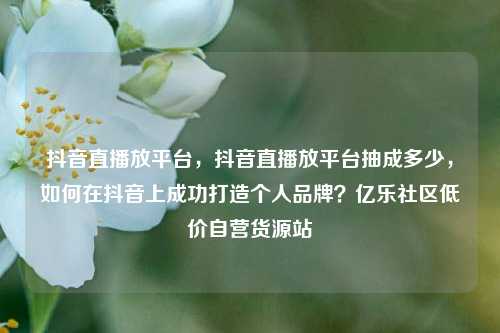 抖音直播放平台，抖音直播放平台抽成多少	，如何在抖音上成功打造个人品牌？亿乐社区低价自营货源站  第1张