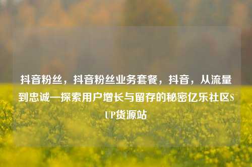 抖音粉丝，抖音粉丝业务套餐，抖音	，从流量到忠诚—探索用户增长与留存的秘密亿乐社区SUP货源站  第1张