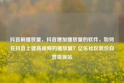 抖音刷播放量，抖音增加播放量的软件，如何在抖音上提高视频的播放量？亿乐社区低价自营货源站  第1张