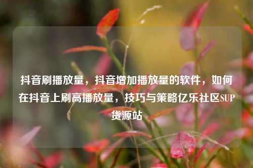 抖音刷播放量，抖音增加播放量的软件，如何在抖音上刷高播放量	，技巧与策略亿乐社区SUP货源站  第1张