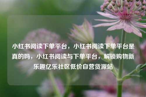 小红书阅读下单平台，小红书阅读下单平台是真的吗，小红书阅读与下单平台，解锁购物新乐趣亿乐社区低价自营货源站  第1张