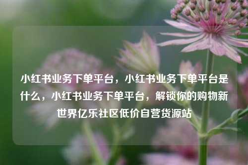 小红书业务下单平台，小红书业务下单平台是什么，小红书业务下单平台，解锁你的购物新世界亿乐社区低价自营货源站  第1张