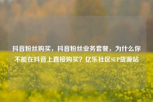 抖音粉丝购买	，抖音粉丝业务套餐，为什么你不能在抖音上直接购买？亿乐社区SUP货源站  第1张