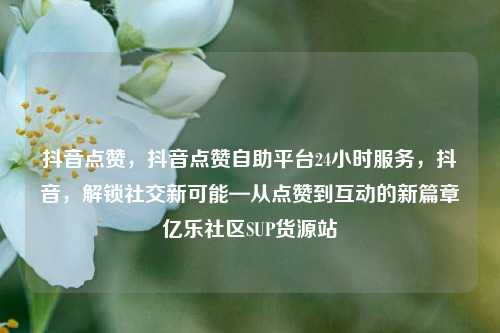 抖音点赞，抖音点赞自助平台24小时服务，抖音	，解锁社交新可能—从点赞到互动的新篇章亿乐社区SUP货源站  第1张