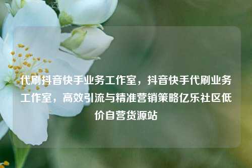 代刷抖音快手业务工作室，抖音快手代刷业务工作室，高效引流与精准营销策略亿乐社区低价自营货源站  第1张