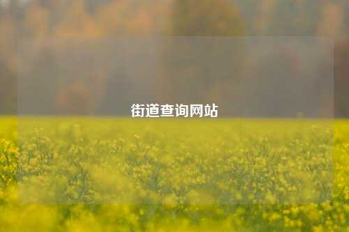 街道查询网站  第1张