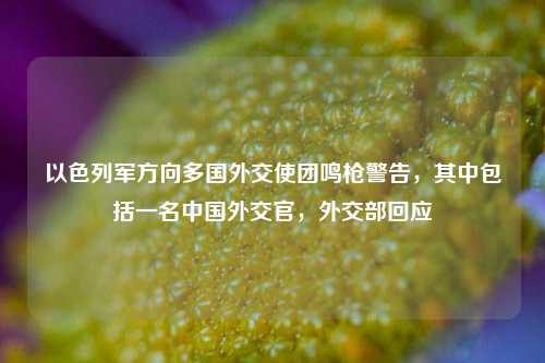 以色列军方向多国外交使团鸣枪警告，其中包括一名中国外交官，外交部回应  第1张