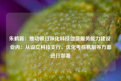 朱鹤新：推动银行深化科技信贷服务能力建设 业内：从设立科技支行	、优化考核机制等方面进行部署  第1张