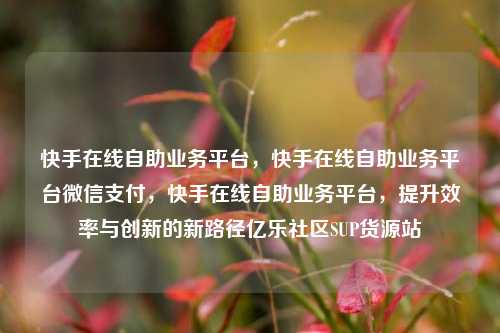 快手在线自助业务平台，快手在线自助业务平台微信支付，快手在线自助业务平台	，提升效率与创新的新路径亿乐社区SUP货源站  第1张