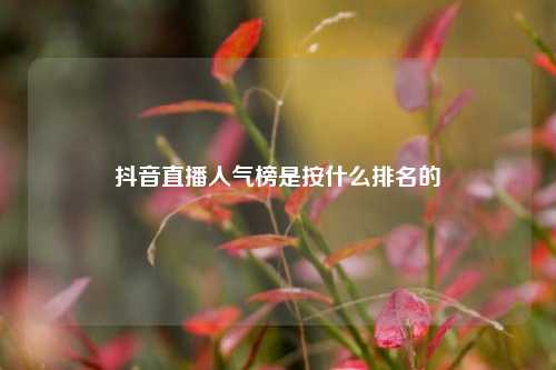 抖音直播人气榜是按什么排名的  第1张