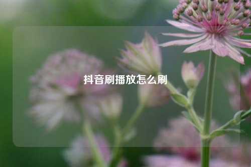 抖音刷播放怎么刷  第1张