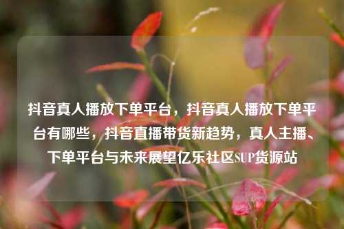 抖音真人播放下单平台，抖音真人播放下单平台有哪些	，抖音直播带货新趋势，真人主播	、下单平台与未来展望亿乐社区SUP货源站  第1张