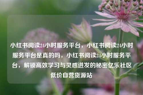 小红书阅读24小时服务平台，小红书阅读24小时服务平台是真的吗	，小红书阅读24小时服务平台，解锁高效学习与灵感迸发的秘密亿乐社区低价自营货源站  第1张