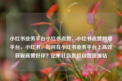 小红书业务平台小红书点赞	，小红书点赞网络平台，小红书，如何在小红书业务平台上高效获取高赞好评？亿乐社区低价自营货源站  第1张