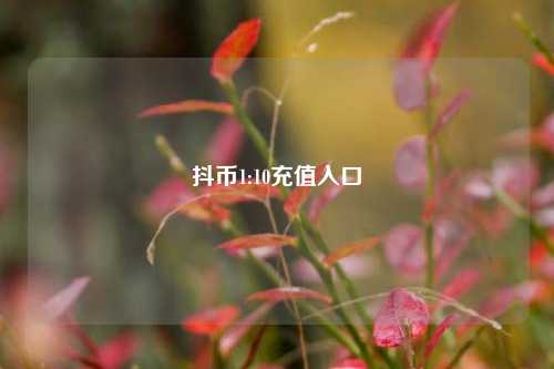 抖币1:10充值入口  第1张