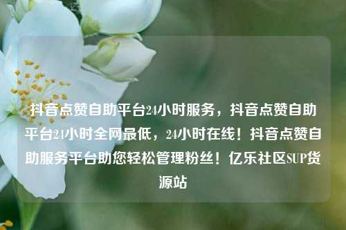 抖音点赞自助平台24小时服务，抖音点赞自助平台24小时全网最低，24小时在线！抖音点赞自助服务平台助您轻松管理粉丝！亿乐社区SUP货源站  第1张