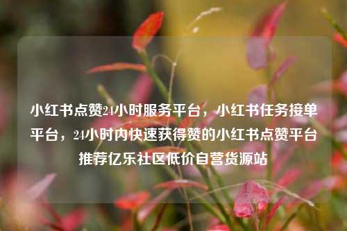 小红书点赞24小时服务平台，小红书任务接单平台	，24小时内快速获得赞的小红书点赞平台推荐亿乐社区低价自营货源站  第1张
