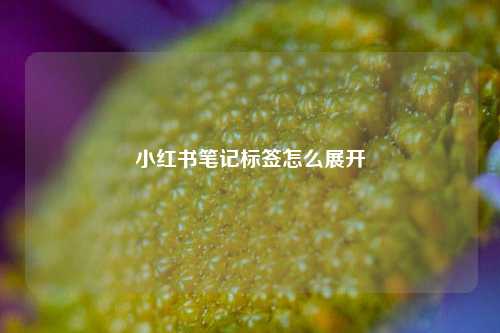 小红书笔记标签怎么展开  第1张