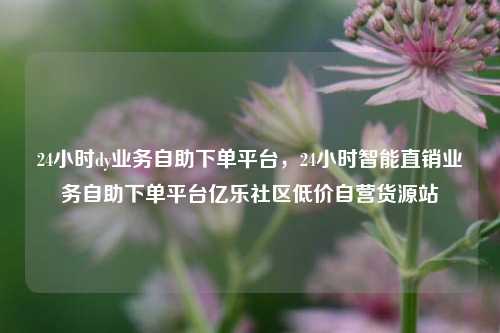 24小时dy业务自助下单平台	，24小时智能直销业务自助下单平台亿乐社区低价自营货源站  第1张