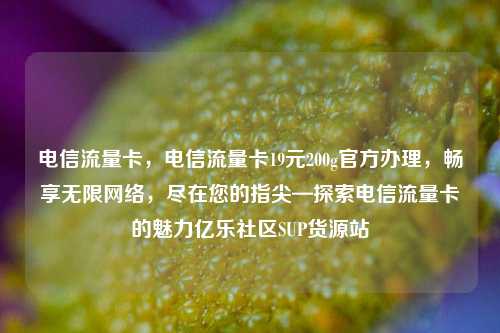 电信流量卡，电信流量卡19元200g官方办理，畅享无限网络	，尽在您的指尖—探索电信流量卡的魅力亿乐社区SUP货源站  第1张