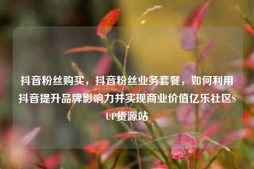 抖音粉丝购买，抖音粉丝业务套餐，如何利用抖音提升品牌影响力并实现商业价值亿乐社区SUP货源站  第1张