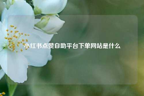 小红书点赞自助平台下单网站是什么  第1张