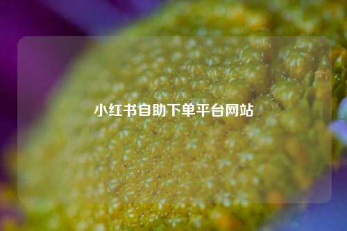 小红书自助下单平台网站  第1张