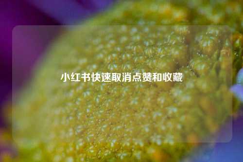小红书快速取消点赞和收藏  第1张
