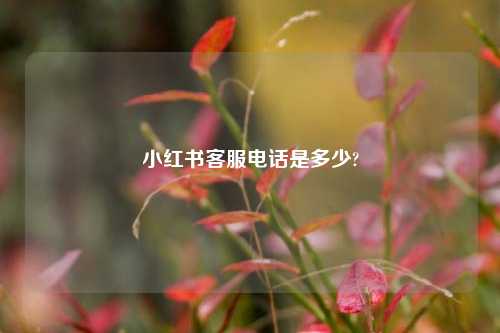 小红书客服电话是多少?  第1张