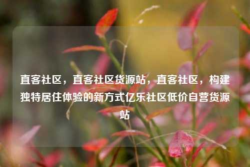 直客社区，直客社区货源站，直客社区，构建独特居住体验的新方式亿乐社区低价自营货源站  第1张