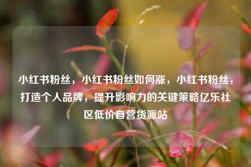 小红书粉丝，小红书粉丝如何涨，小红书粉丝	，打造个人品牌，提升影响力的关键策略亿乐社区低价自营货源站  第1张