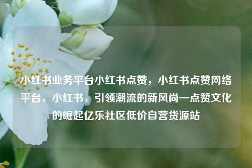 小红书业务平台小红书点赞，小红书点赞网络平台	，小红书，引领潮流的新风尚—点赞文化的崛起亿乐社区低价自营货源站  第1张