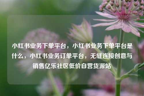 小红书业务下单平台，小红书业务下单平台是什么，小红书业务订单平台	，无缝连接创意与销售亿乐社区低价自营货源站  第1张