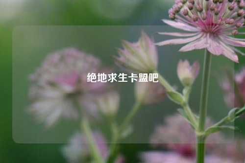 绝地求生卡盟吧  第1张