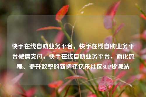 快手在线自助业务平台，快手在线自助业务平台微信支付	，快手在线自助业务平台，简化流程、提升效率的新选择亿乐社区SUP货源站  第1张