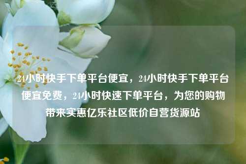 24小时快手下单平台便宜	，24小时快手下单平台便宜免费，24小时快速下单平台，为您的购物带来实惠亿乐社区低价自营货源站  第1张