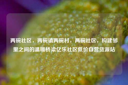 两碗社区，两碗镇两碗村	，两碗社区，构建邻里之间的温暖桥梁亿乐社区低价自营货源站  第1张