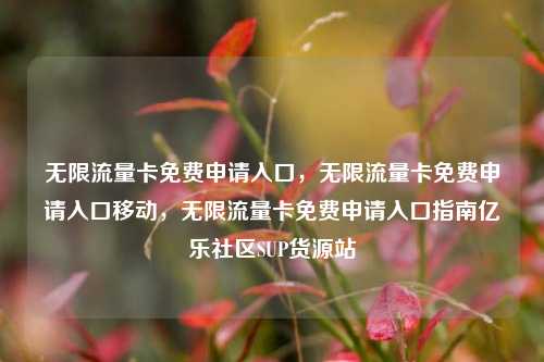 无限流量卡免费申请入口，无限流量卡免费申请入口移动	，无限流量卡免费申请入口指南亿乐社区SUP货源站  第1张