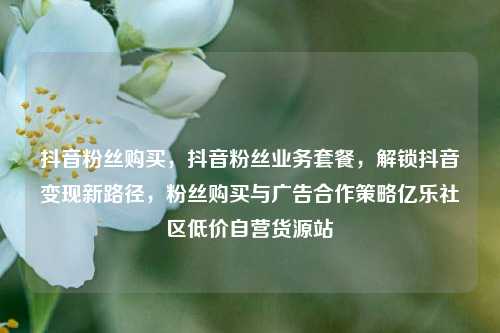 抖音粉丝购买，抖音粉丝业务套餐，解锁抖音变现新路径，粉丝购买与广告合作策略亿乐社区低价自营货源站  第1张