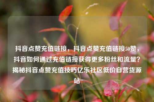 抖音点赞充值链接，抖音点赞充值链接50赞	，抖音如何通过充值链接获得更多粉丝和流量？揭秘抖音点赞充值技巧亿乐社区低价自营货源站  第1张