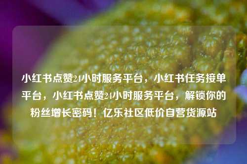 小红书点赞24小时服务平台	，小红书任务接单平台，小红书点赞24小时服务平台，解锁你的粉丝增长密码！亿乐社区低价自营货源站  第1张