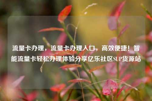 流量卡办理	，流量卡办理入口，高效便捷！智能流量卡轻松办理体验分享亿乐社区SUP货源站  第1张