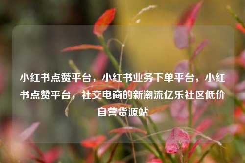 小红书点赞平台	，小红书业务下单平台，小红书点赞平台，社交电商的新潮流亿乐社区低价自营货源站  第1张