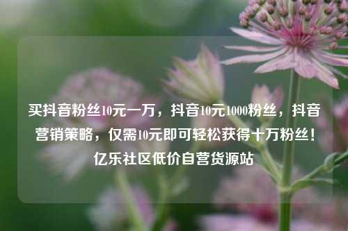 买抖音粉丝10元一万，抖音10元1000粉丝，抖音营销策略，仅需10元即可轻松获得十万粉丝！亿乐社区低价自营货源站  第1张