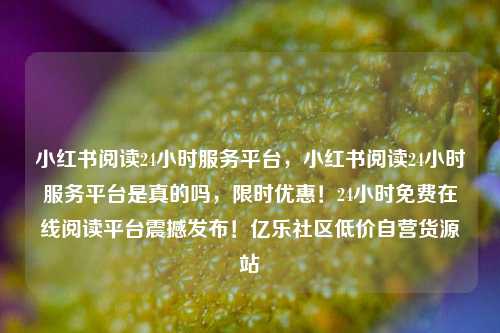 小红书阅读24小时服务平台，小红书阅读24小时服务平台是真的吗	，限时优惠！24小时免费在线阅读平台震撼发布！亿乐社区低价自营货源站  第1张