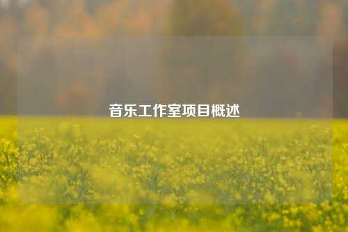 音乐工作室项目概述  第1张