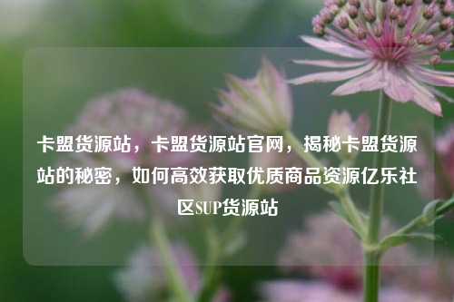 卡盟货源站，卡盟货源站官网，揭秘卡盟货源站的秘密	，如何高效获取优质商品资源亿乐社区SUP货源站  第1张